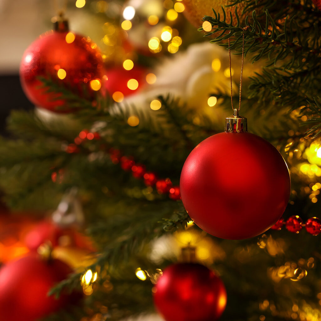 winter-light-up-niche