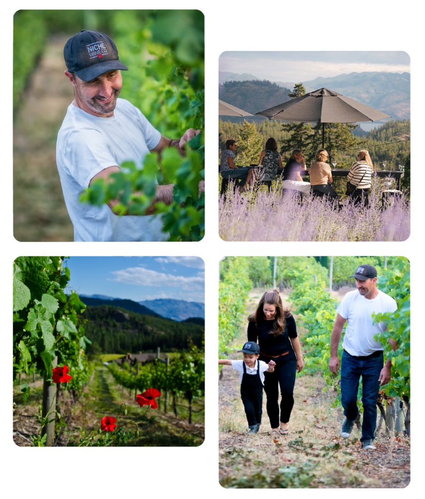 niche-wine-company-05