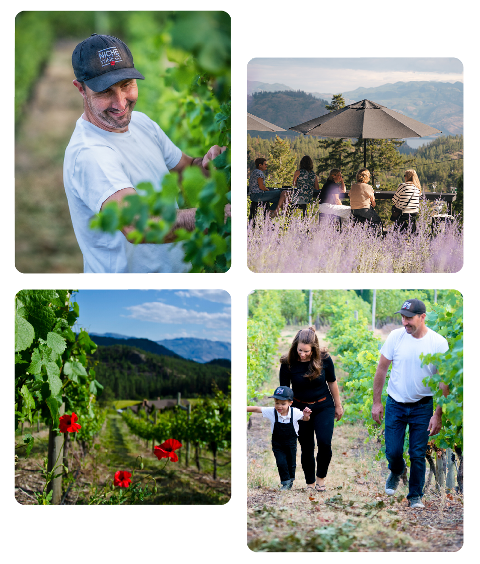 niche-wine-company-05